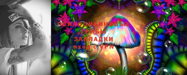 PSILOCYBIN Аркадак