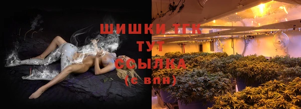 PSILOCYBIN Аркадак